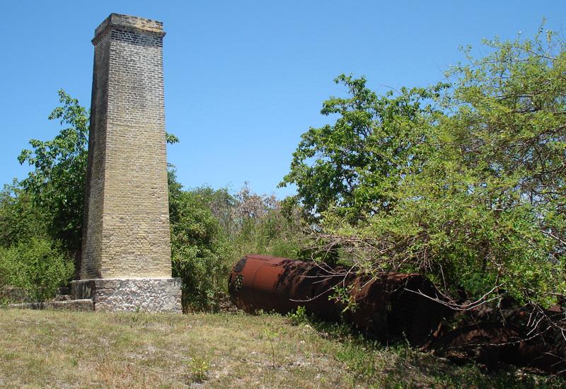 Habitation La Mahaudière - Anse-Bertrand : cheminée de briques jaunes et vestiges de l'usine