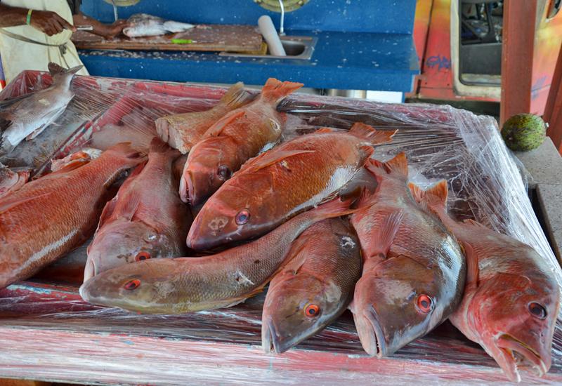 Marché central de Basse-Terre. Etal de poissons dans l'espace spécialement aménagé